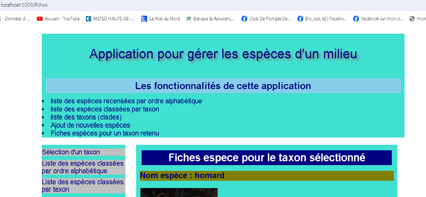 application web avec Flask